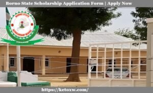 Borno State Scholarship 2025/2026 | Complete Application Guide & Eligibility