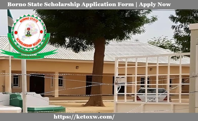 Borno State Scholarship 2025/2026 | Complete Application Guide & Eligibility