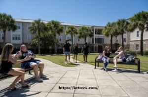 Palmetto Fellows Scholarship: Guide on How to Apply 2 Palmetto Fellows Scholarship: Guide on How to Apply