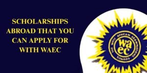 Undergraduate Scholarships for WAEC Holders – Full Guide