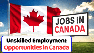 Unskilled Jobs in Canada With Visa Sponsorship: Complete Guide for Foreign Workers (2026) 2 Unskilled Jobs in Canada With Visa Sponsorship: Complete Guide for Foreign Workers (2026)